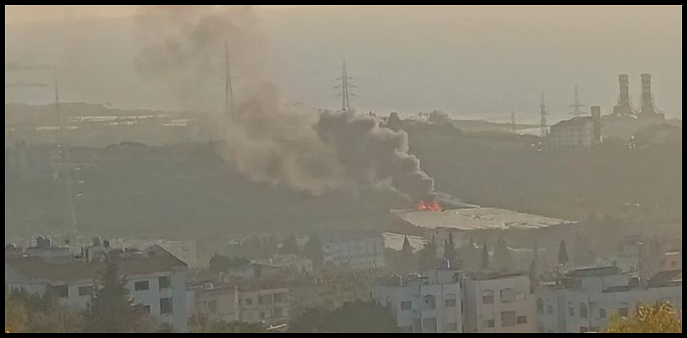 Doc P 1498706 639093640758893100