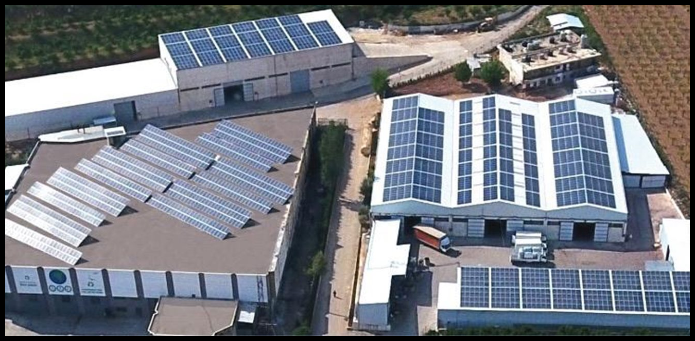 Doc P 1498782 639093726910155630