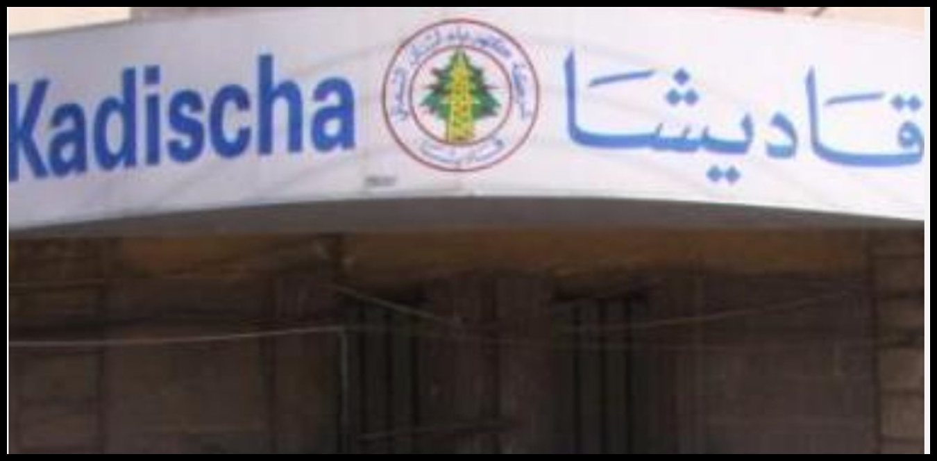 موظف في شركة كهرباء قاديشا يتعرّض لصعقة كهربائية 1 Doc P 1499773 639095195204725558