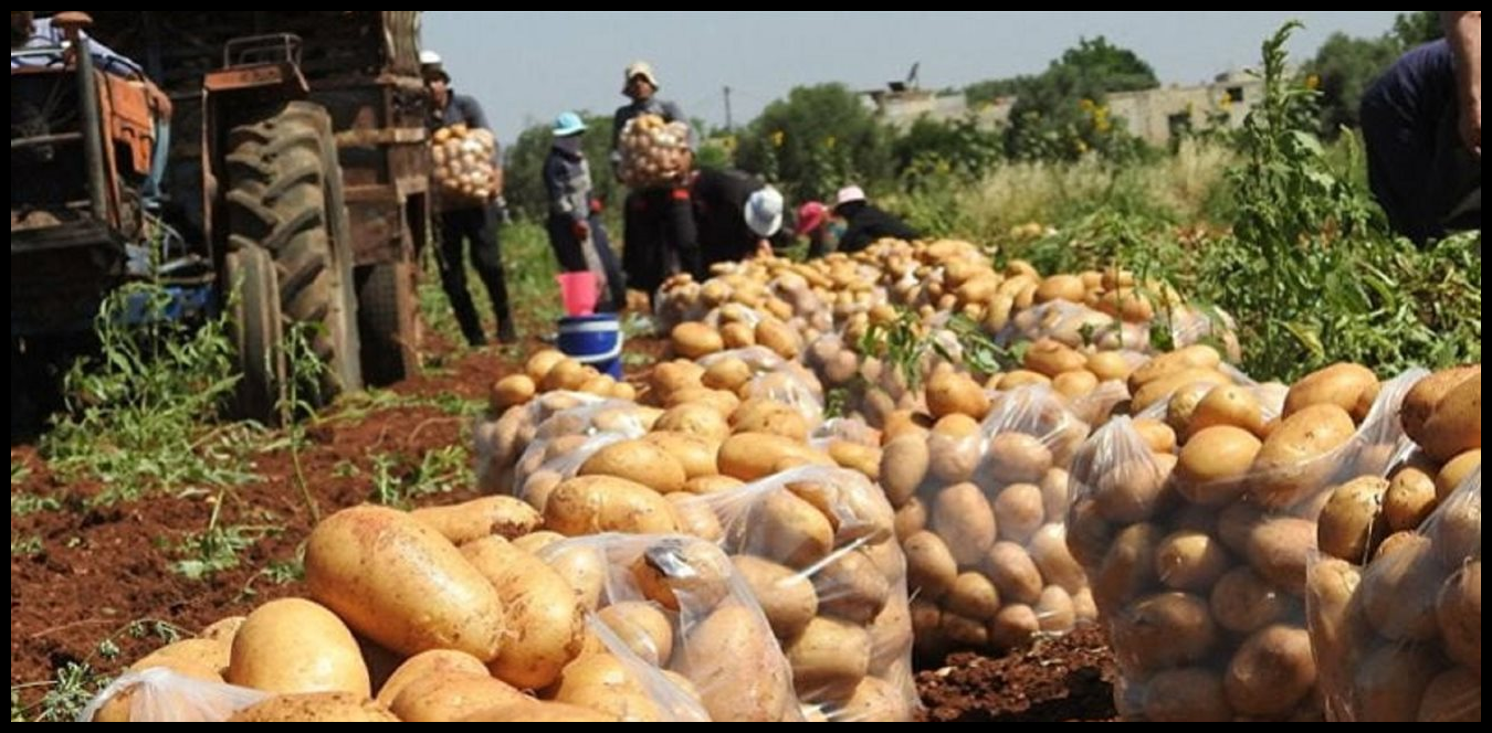 Doc P 1500183 639095924425090703