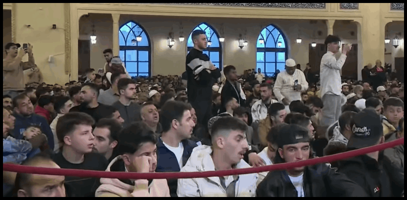 Doc P 1500196 639095952715439647