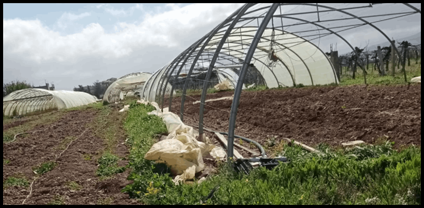 Doc P 1501238 639098032215606497