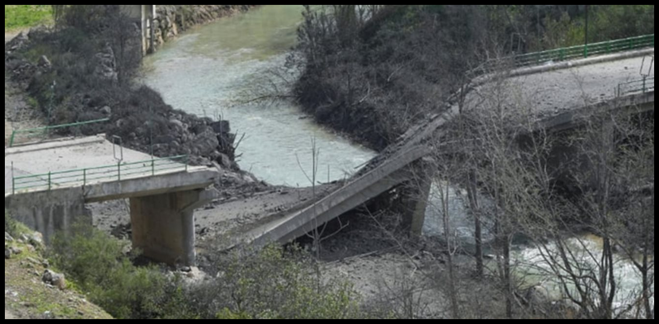 Doc P 1501801 639098946324004673 1