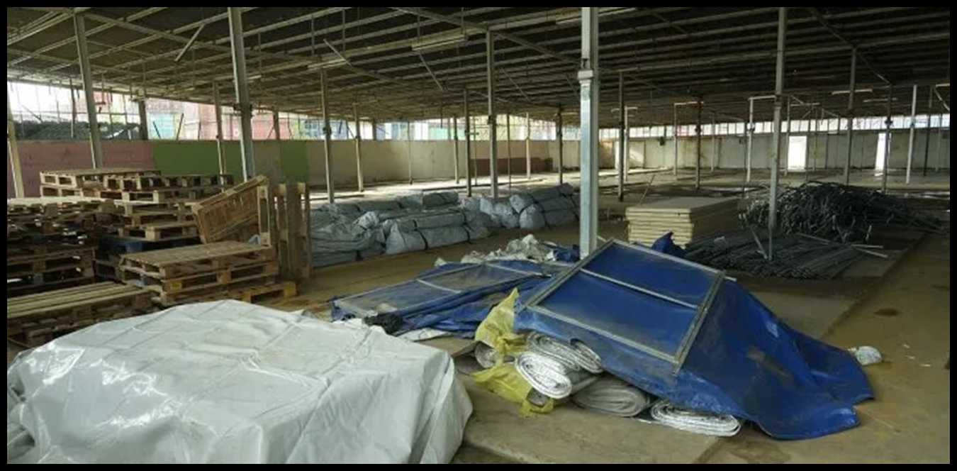 Doc P 1501970 639099372179589600