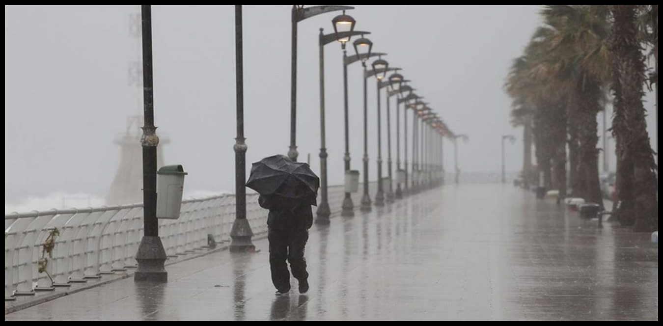 Doc P 1502062 639099458862879873