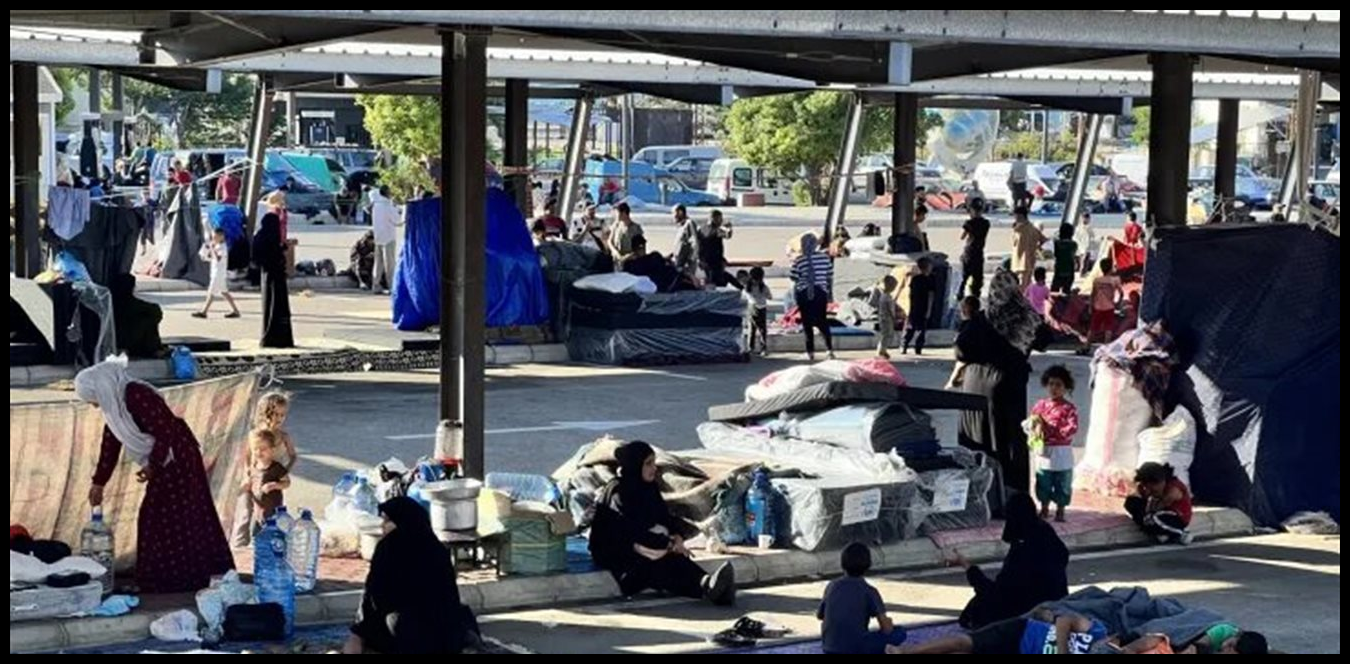 Doc P 1503233 639101104587527249