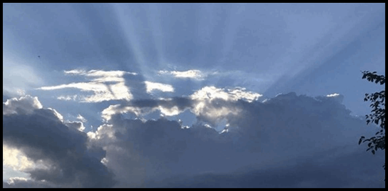 كيف سيكون طقس الشعانين؟ 1 Doc P 1503852 639101997034079748