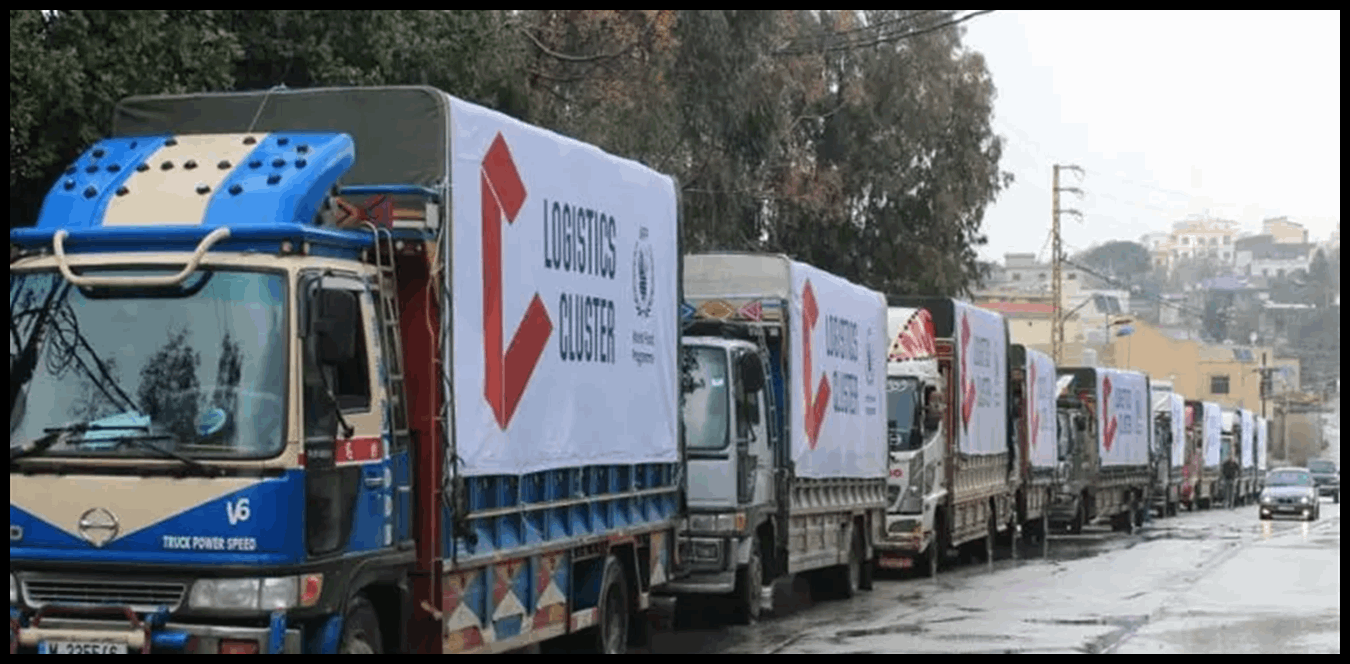 Doc P 1503916 639102078154347667