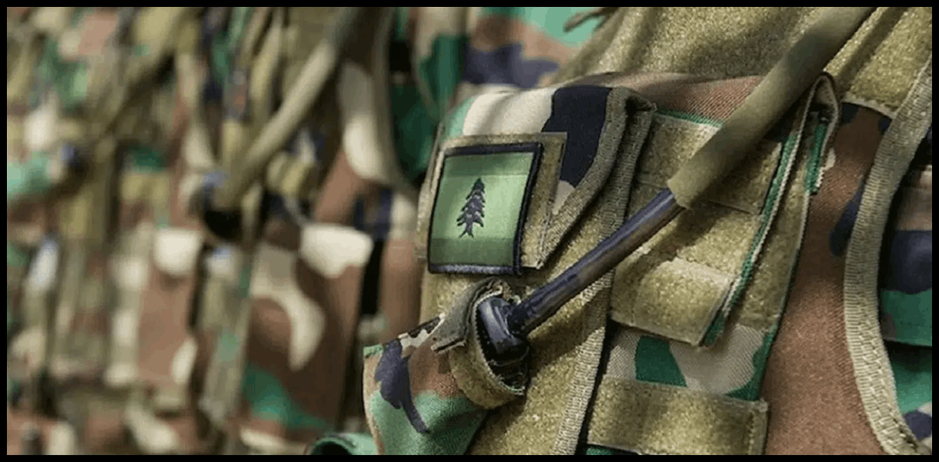 Doc P 1505242 639104687340038569