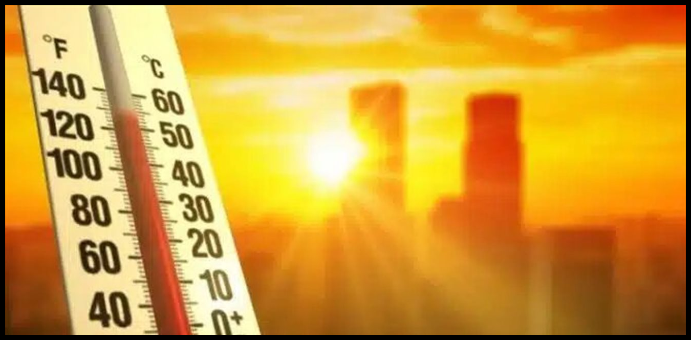 Doc P 1505652 639105487600244048