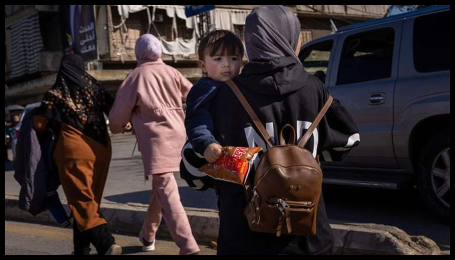 Doc T 913082 639087594061580289