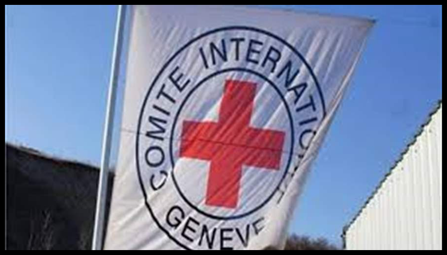 Doc T 913625 639088974314627224