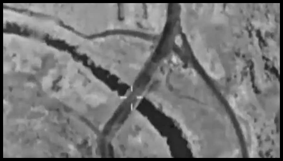 Doc T 914012 639089799262959616