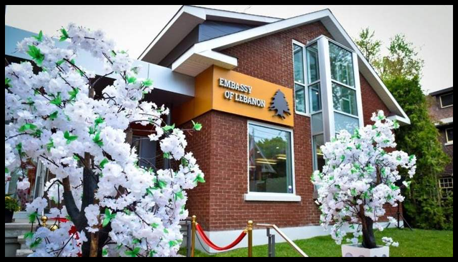 Doc T 914034 639089841322024623