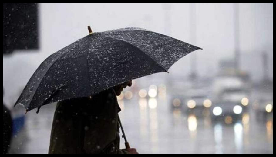 Doc T 914414 639090692864167758