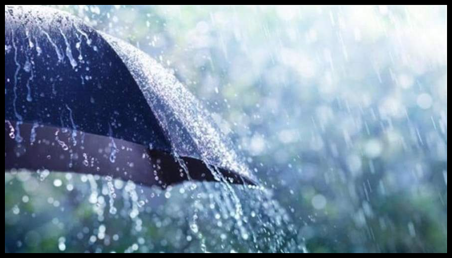 Doc T 914700 639091550277166239