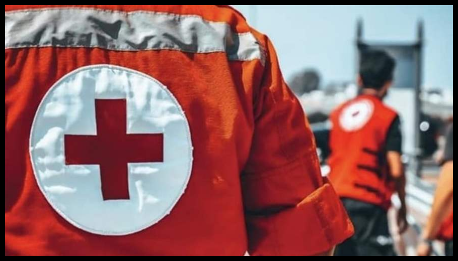 Doc T 915111 639092710652851996