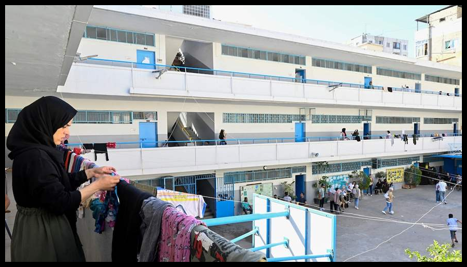 Doc T 915368 639093432612723663