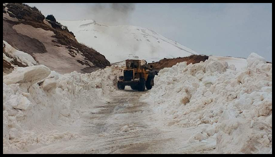 Doc T 916149 639095139756902138