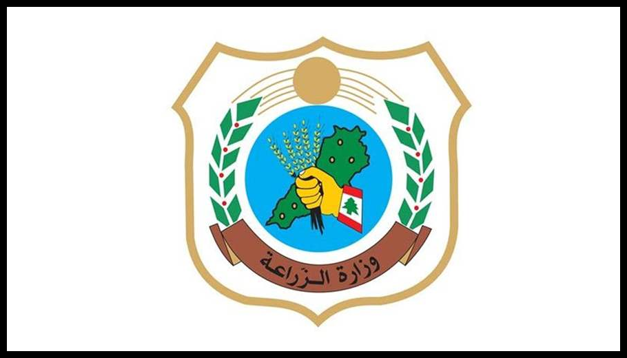 Doc T 918144 639100163068625989