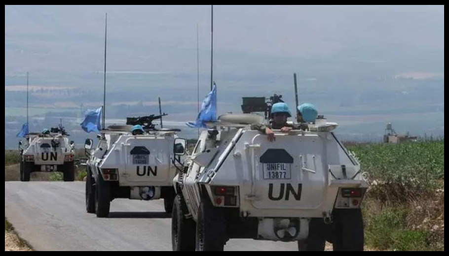 Doc T 920112 639105514089561541