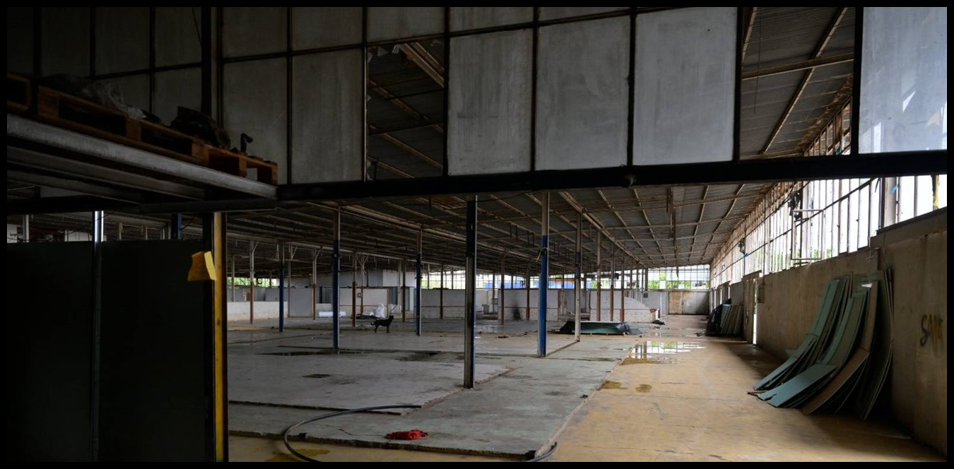 Doc P 1506609 639107059149357340