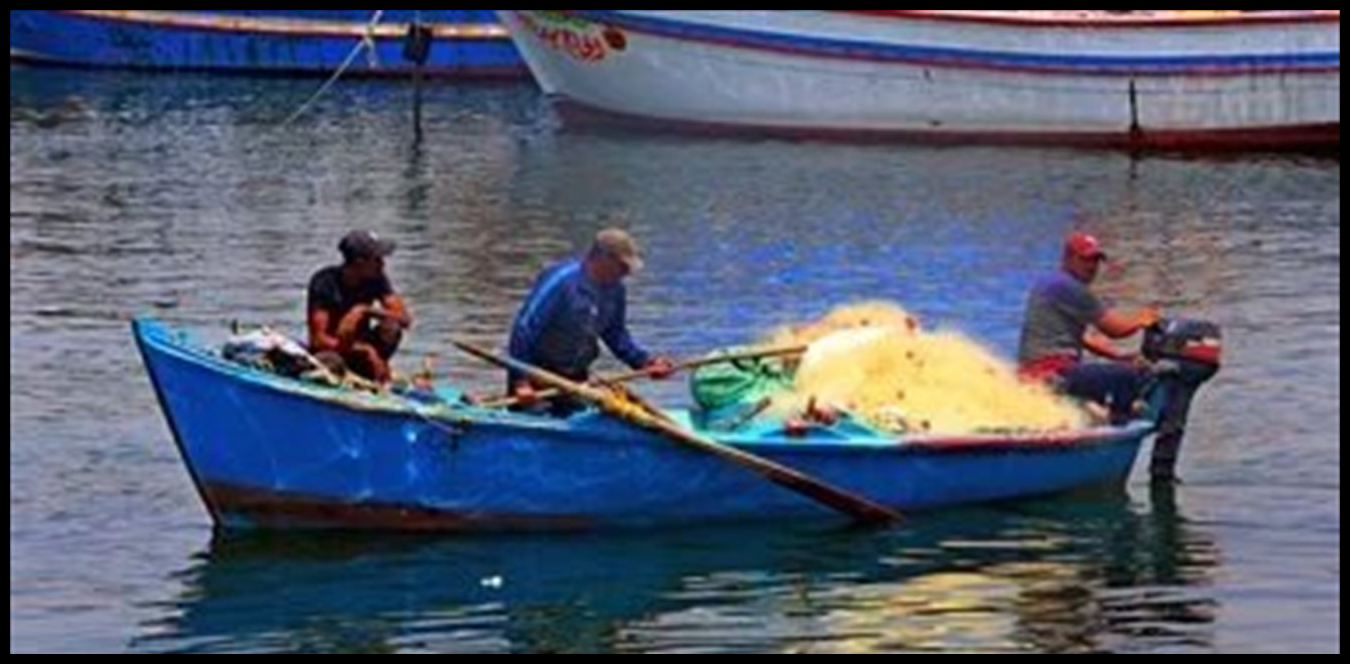 Doc P 1507073 639107711435791567