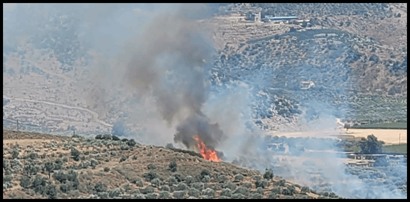 Doc P 1507313 639108196634396638