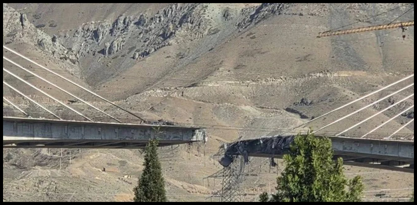 Doc P 1507639 639108873564413248