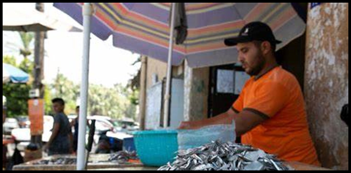 تعاونية صيادي الأسماك في العريضة طالبت بإطلاق سراح الصيادين الموقوفين في سوريا 1 Doc P 1507845 639109159380647906