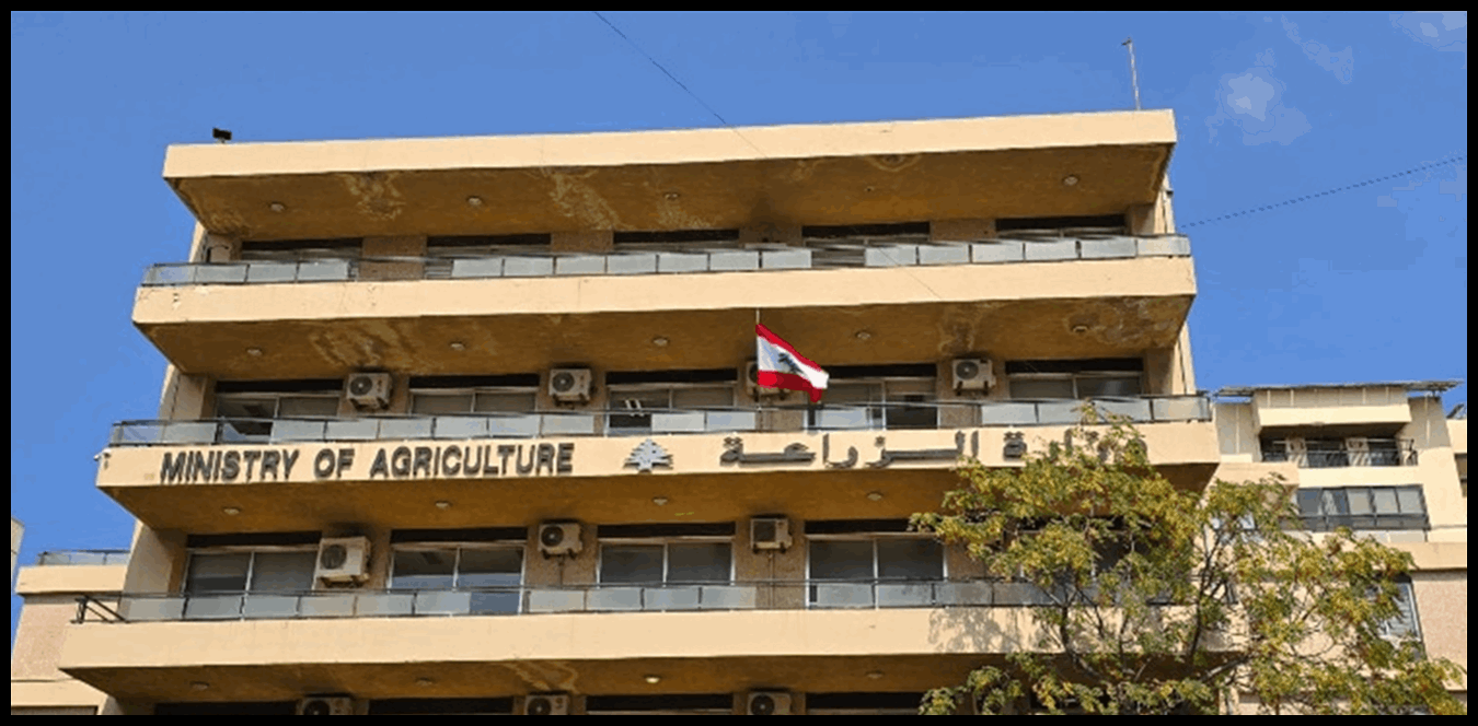 "شوائب وصفقات".. نقابة مستوردي الخضار والفاكهة تهاجم وزارة الزراعة 1 Doc P 1509240 639111819675781297