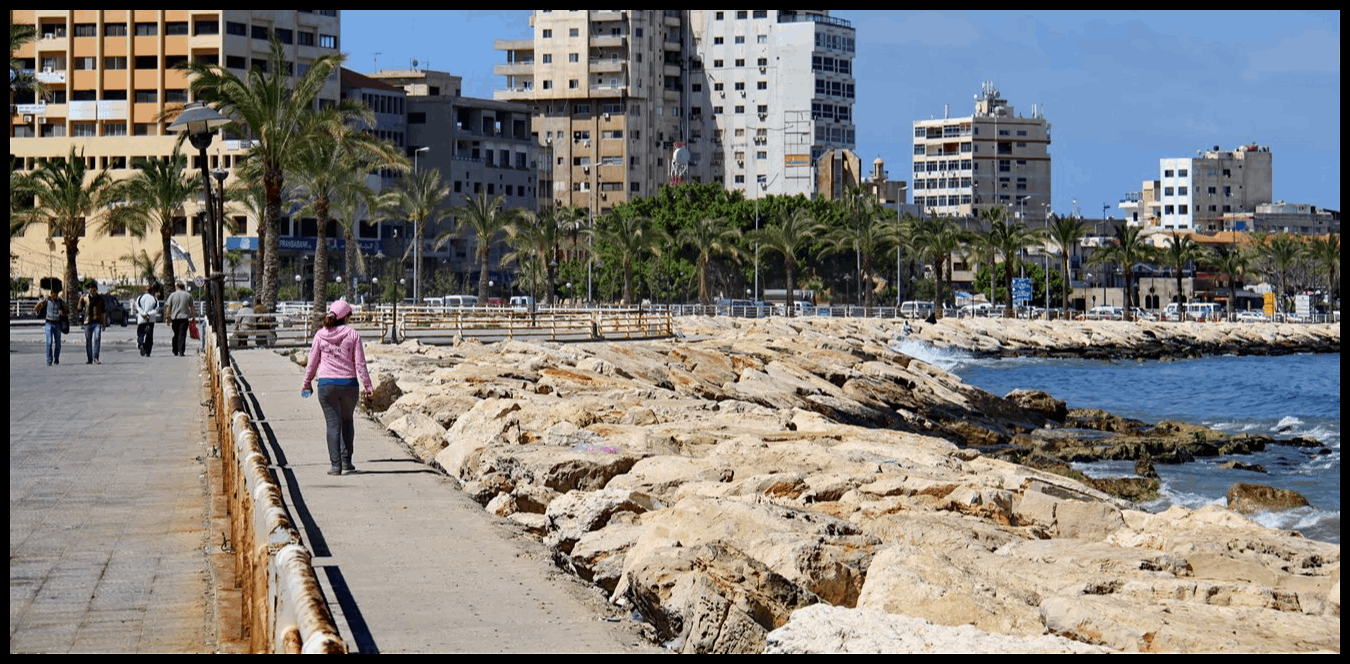 حملة ميدانية في صور لازالة آثار العدوان الإسرائيلي 1 Doc P 1511021 639114450225705672