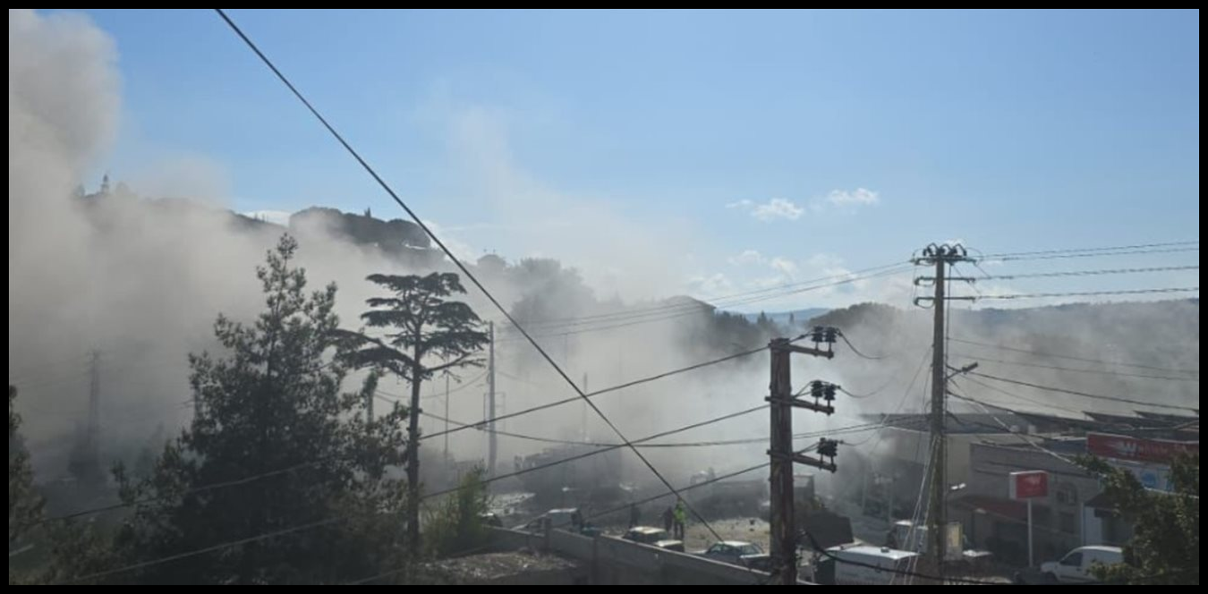 Doc P 1511230 639114971177309579