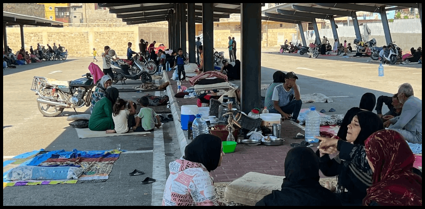 Doc P 1511911 639116346223306376