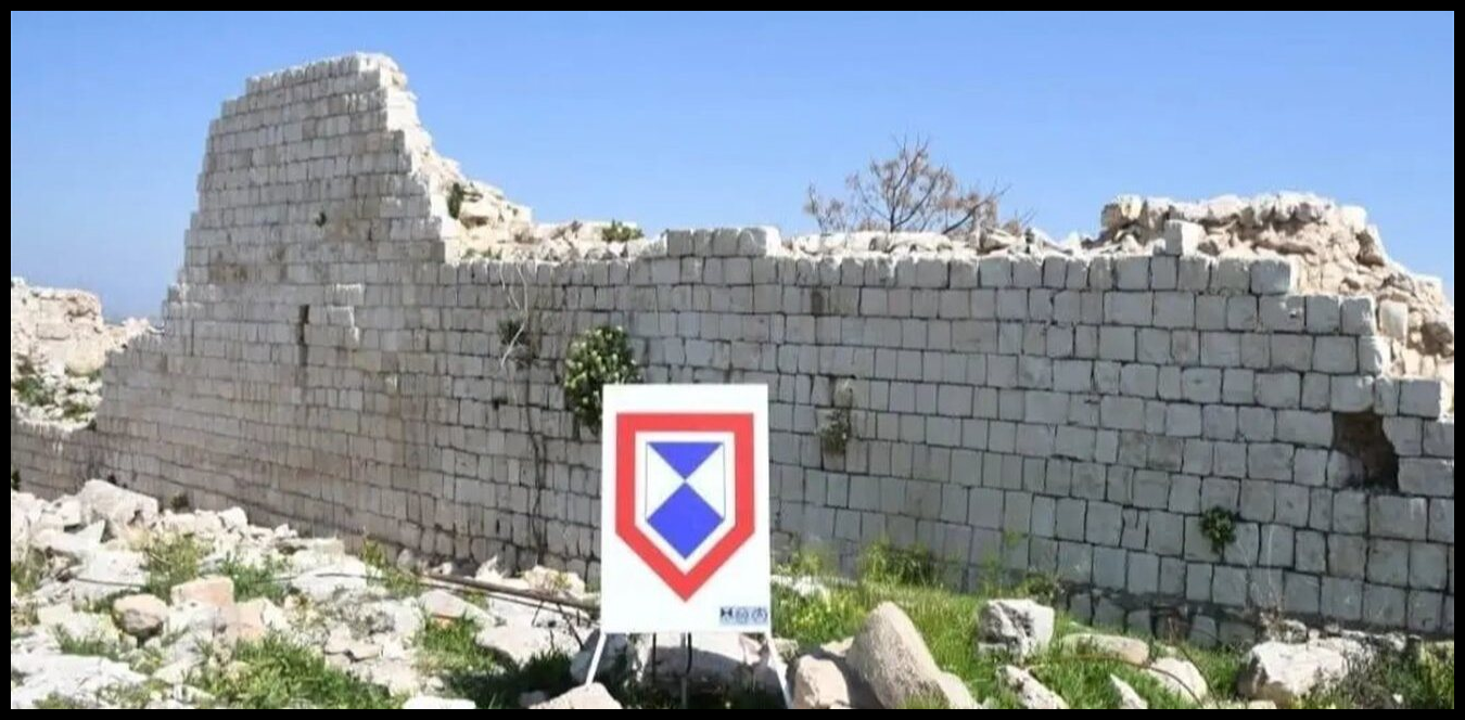 Doc P 1512308 639117081089342912