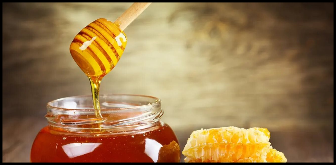 Doc P 1513091 639118447014891026