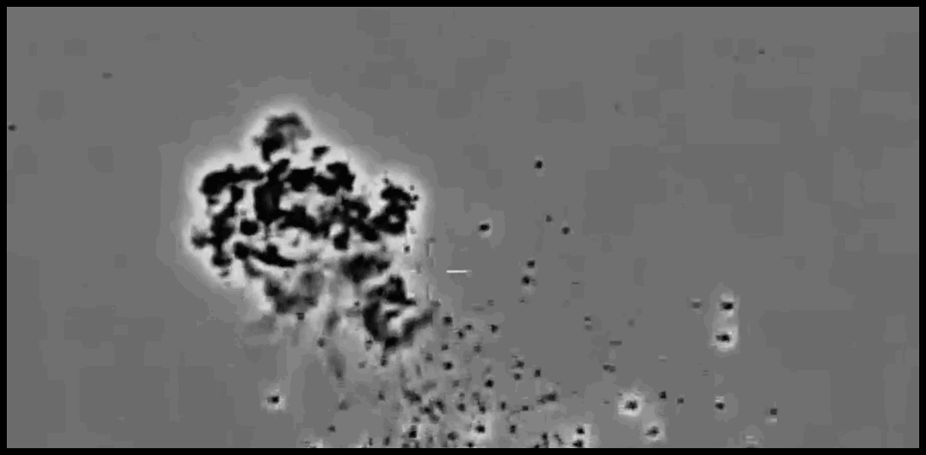 Doc P 1513563 639119311798453271