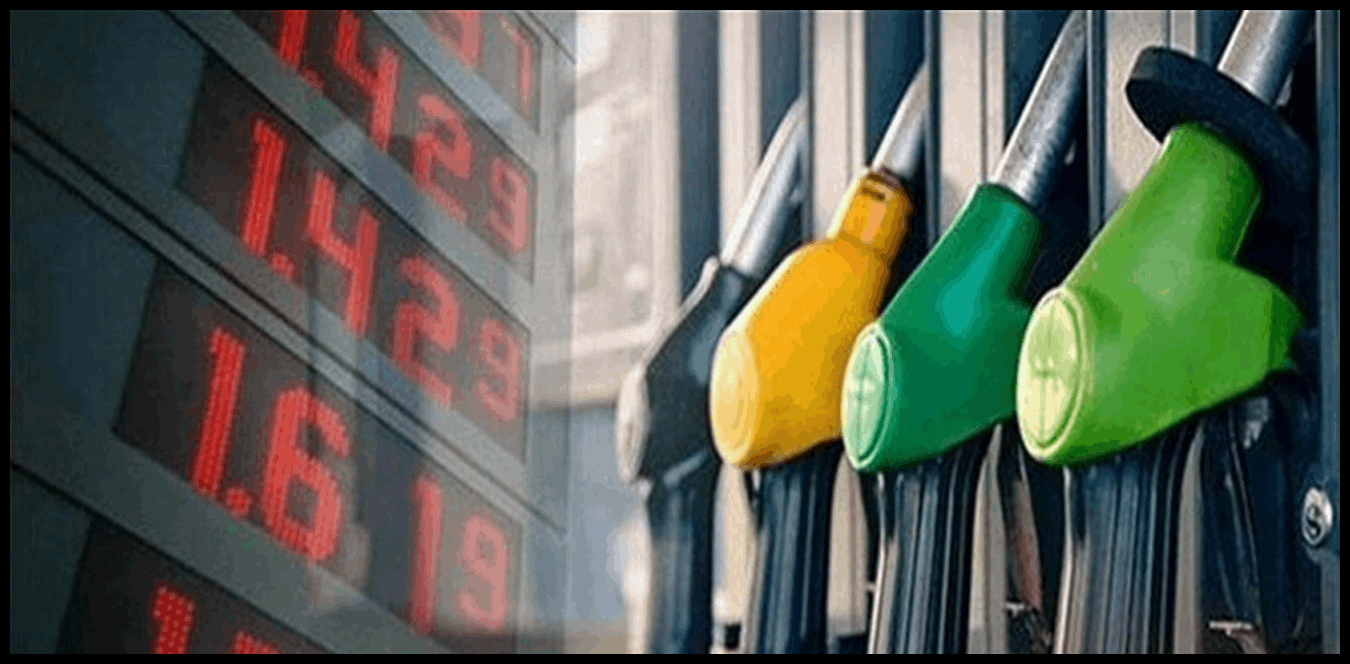 Doc P 1514101 639120144027107496