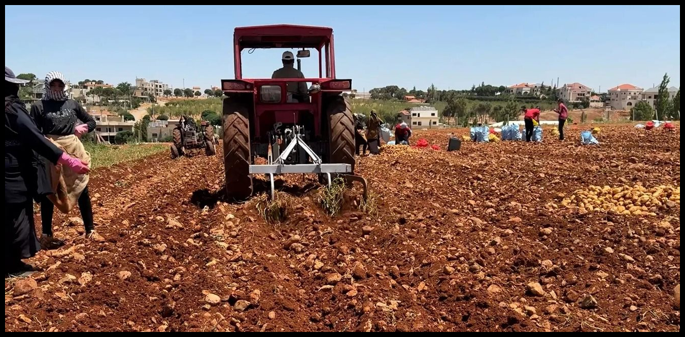 Doc P 1514323 639120481246305541