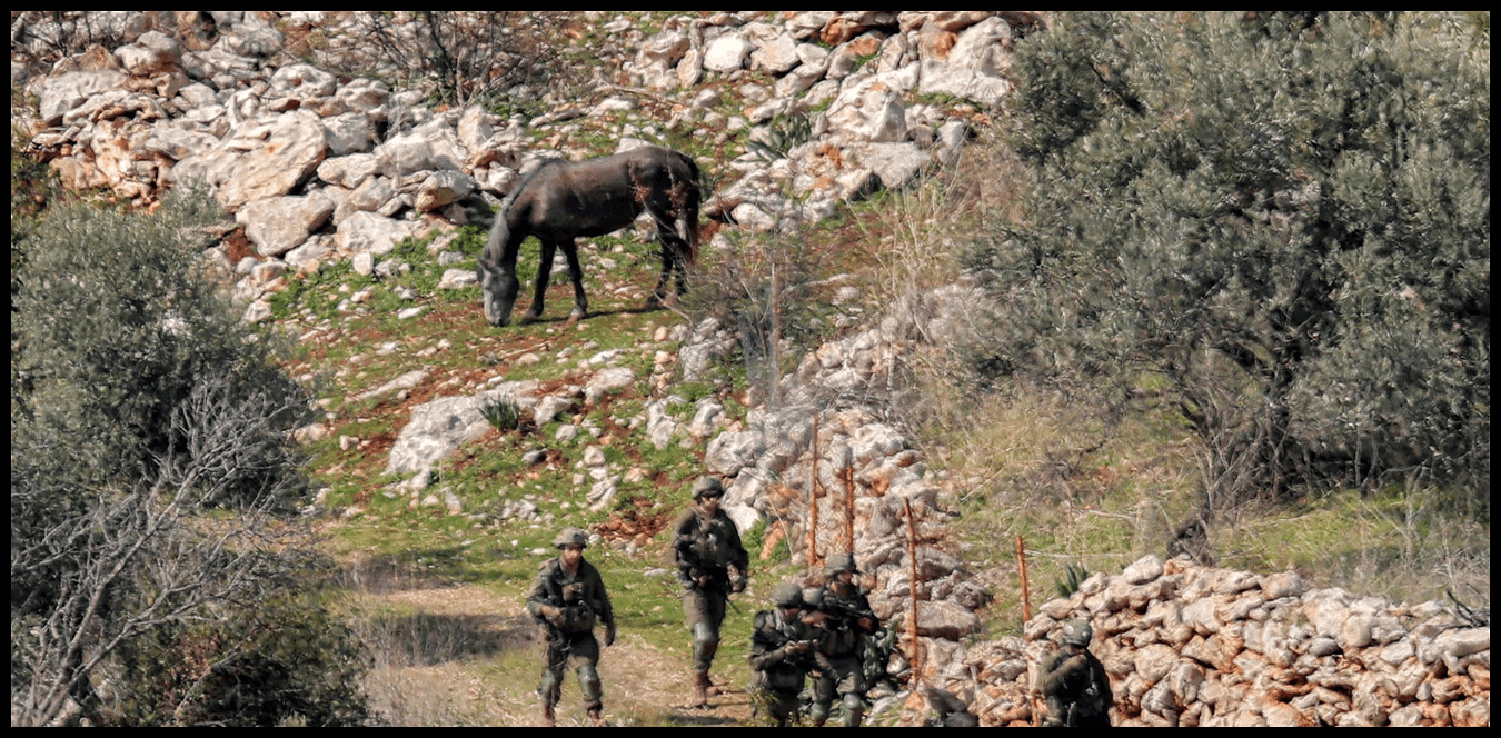 Doc P 1515174 639122606713916763