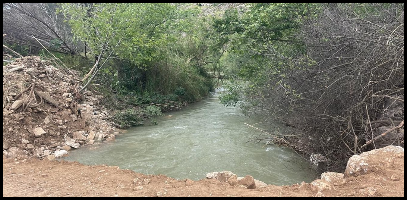 Doc P 1515339 639122862567418160