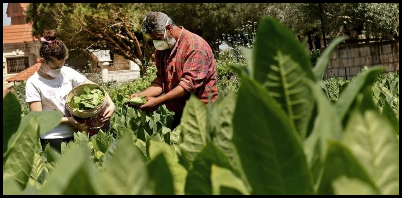 Doc P 1515498 639123081960311724