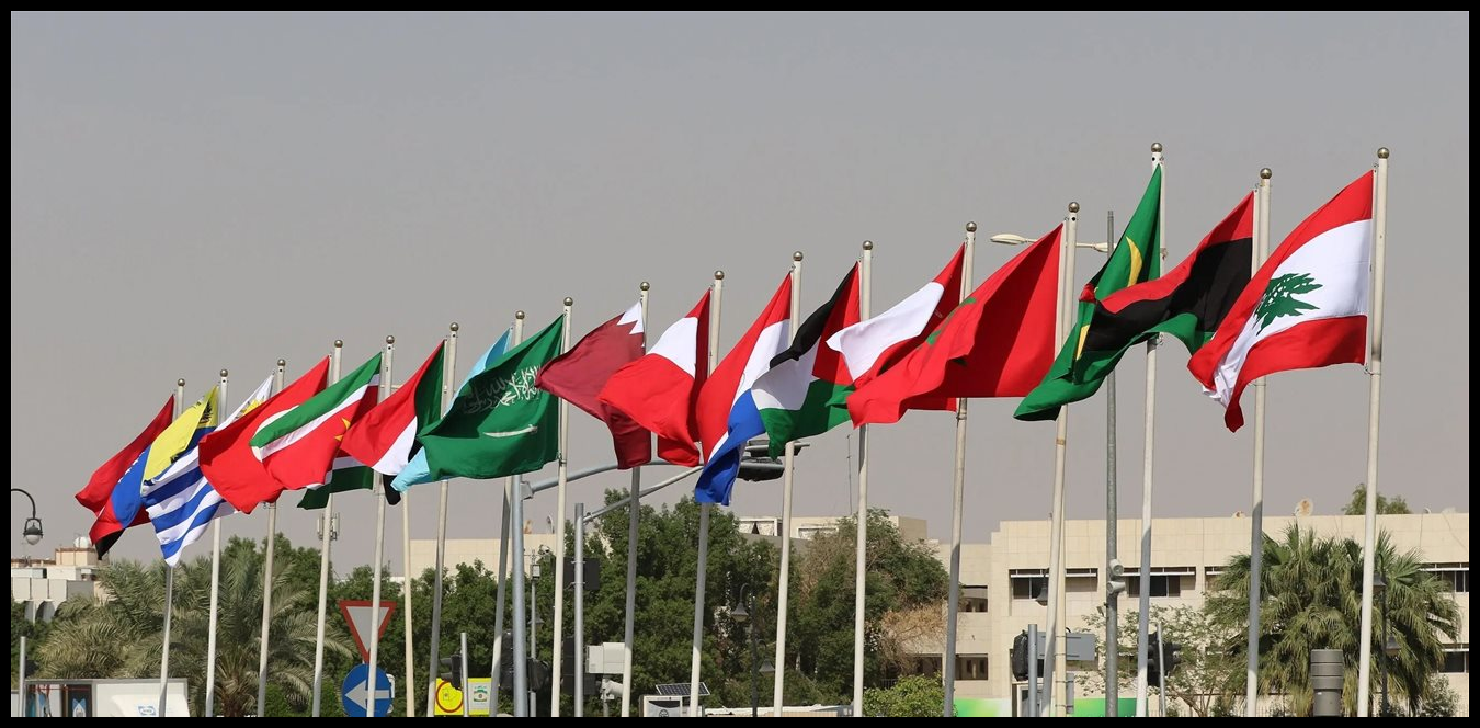 Doc P 1515655 639123565785521824