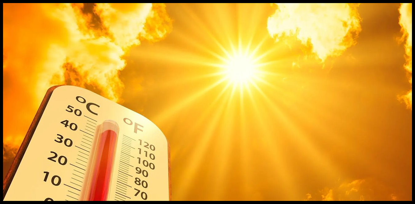 Doc P 1516241 639124557679290128