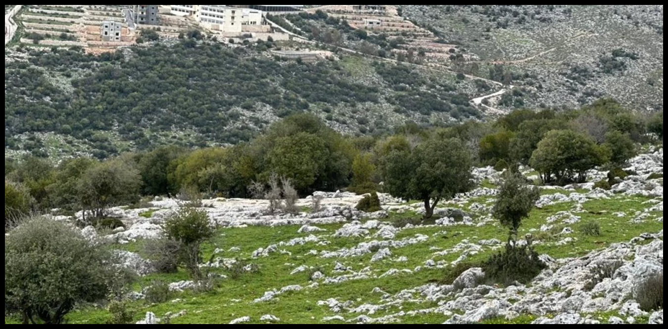 Doc P 1516358 639124732621624791