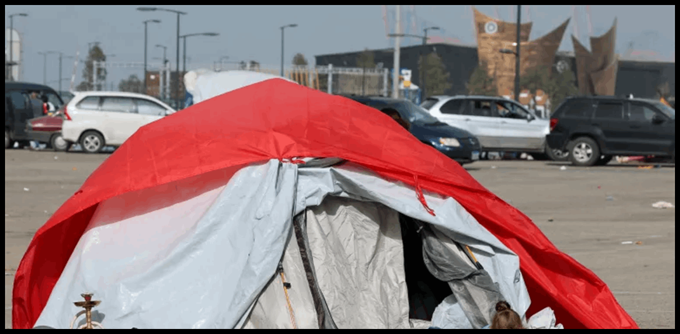 Doc P 1516420 639124836062724621