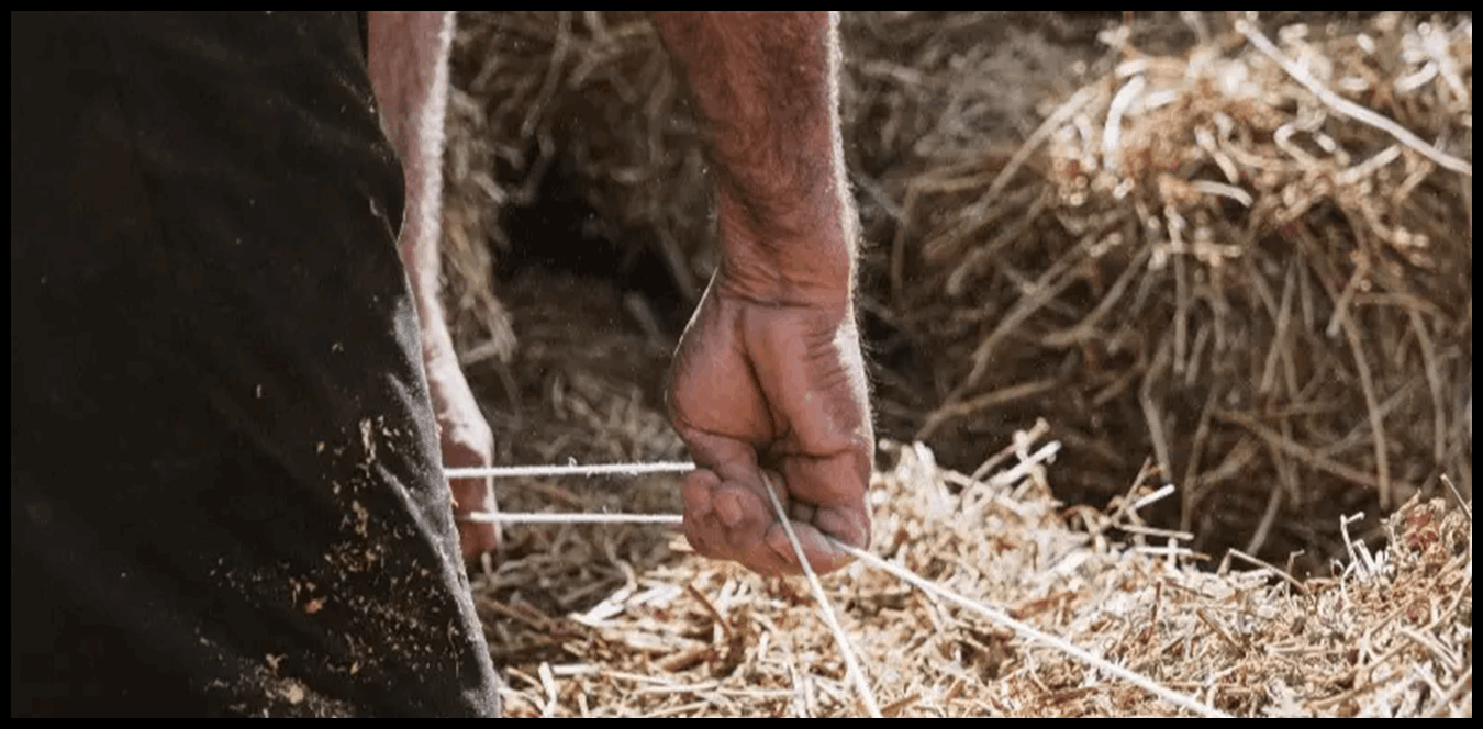 Doc P 1517093 639126271529906335