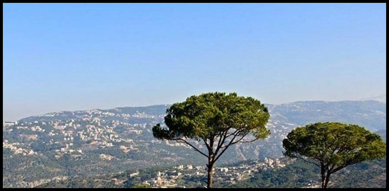 Doc P 1517477 639127127516195682