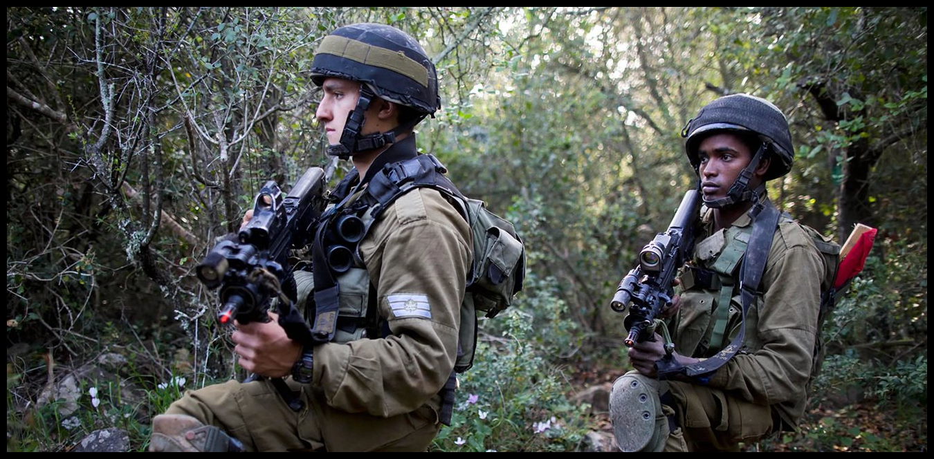 Doc P 1518186 639128877726349456