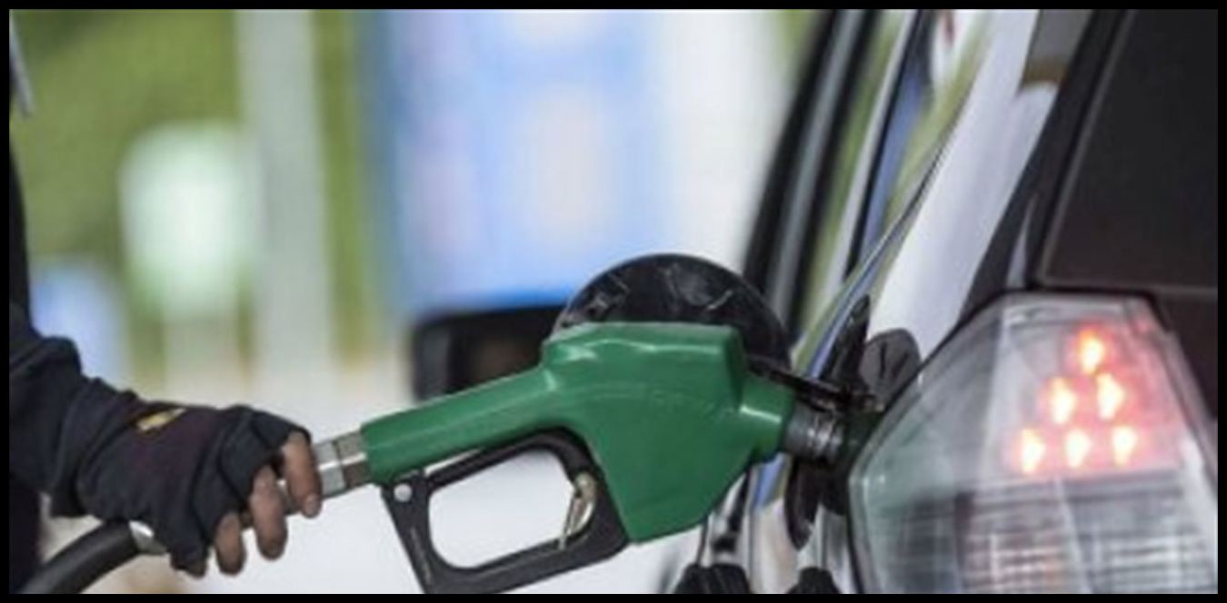 Doc P 1518537 639129639838697645